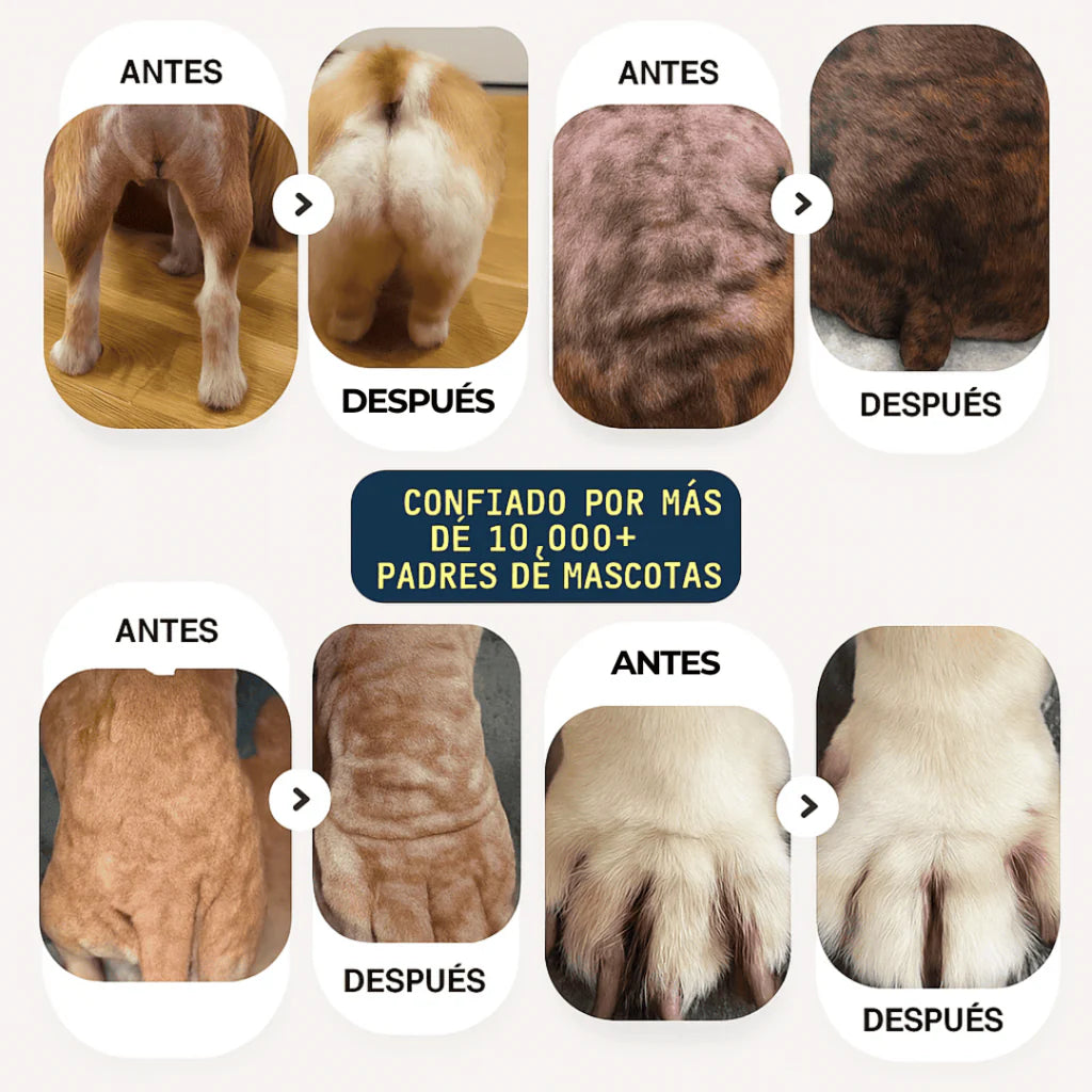 TRATAMIENTO NATURAL PARA PIEL ROJA, IRRITADA, CON GRANITOS O DERMATITIS