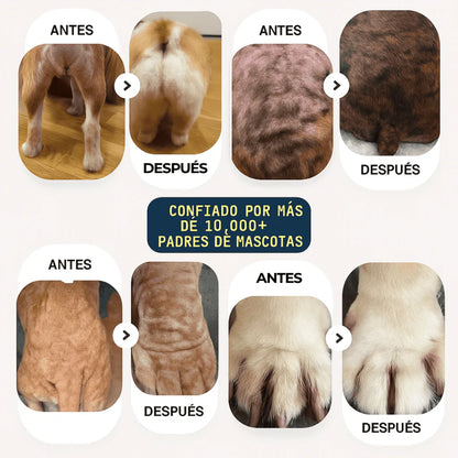 TRATAMIENTO NATURAL PARA PIEL ROJA, IRRITADA, CON GRANITOS O DERMATITIS